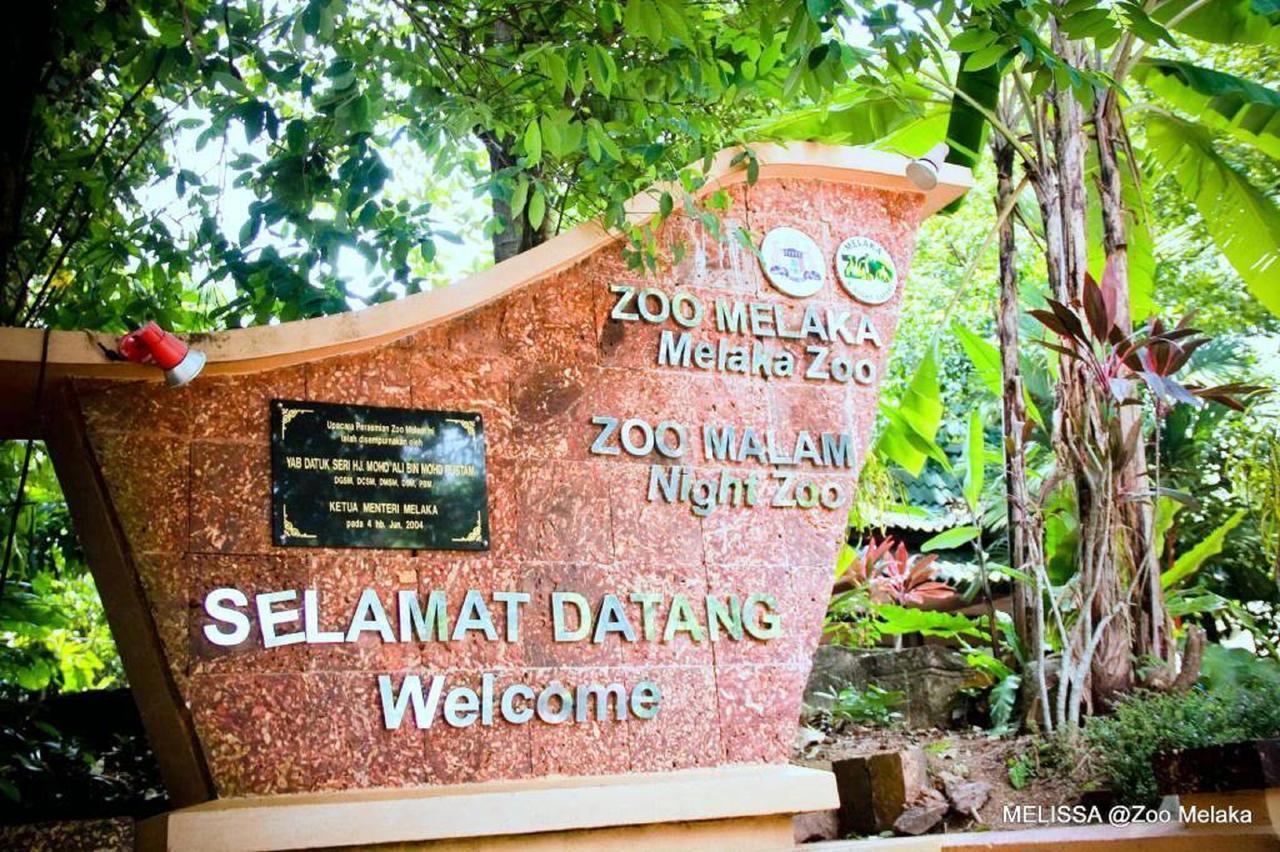 Sun Inns Hotel Ayer Keroh Eksteriør bilde